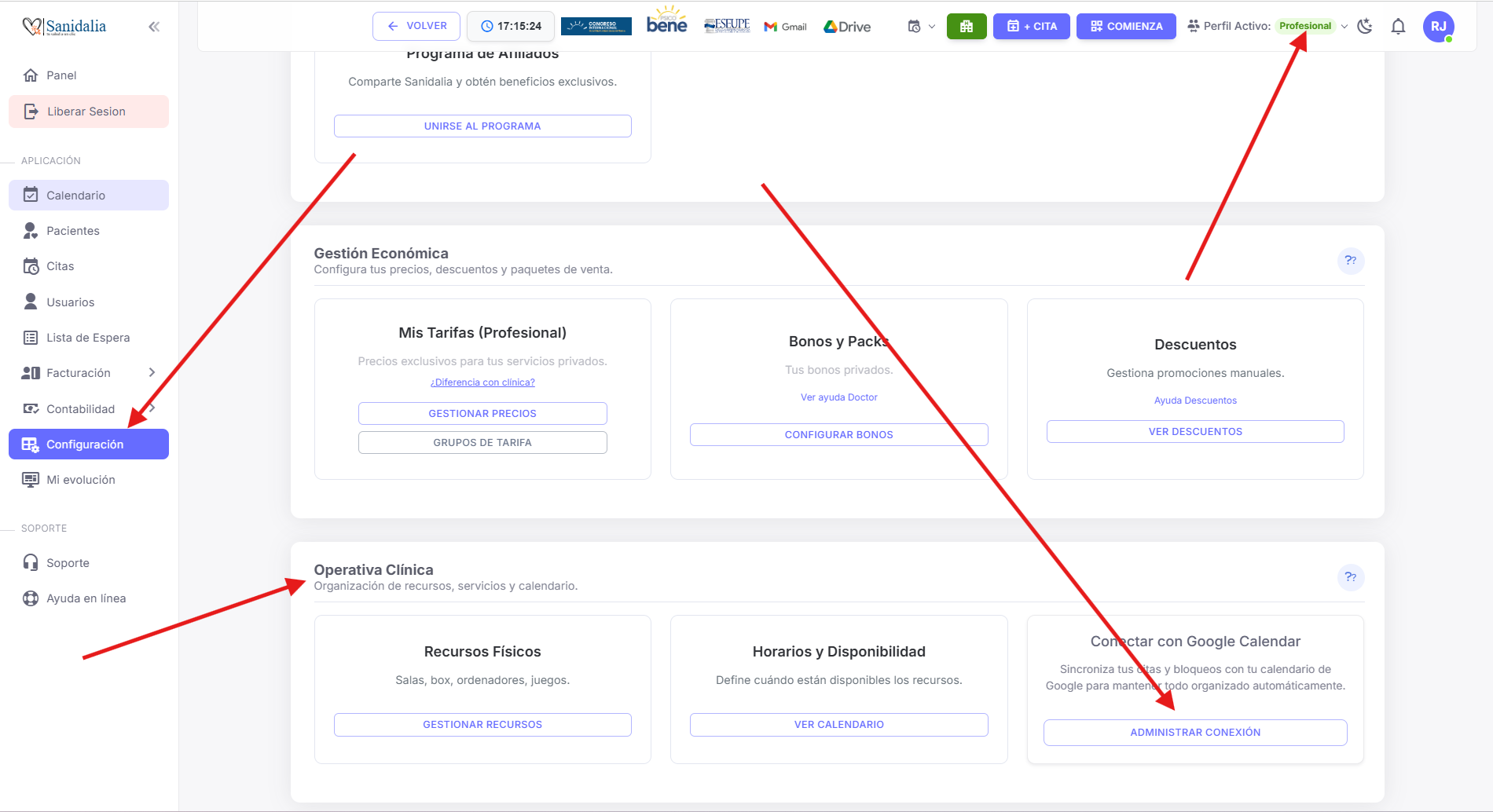 Pantalla de configuración de Google Calendar en Sanidalia